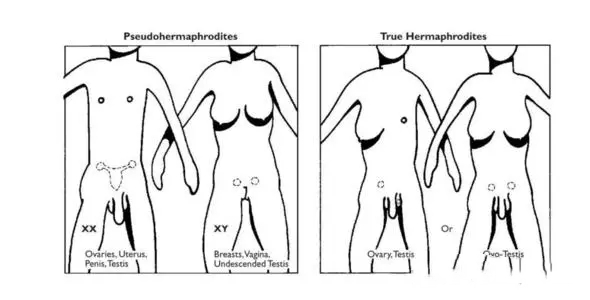 南昌供卵試管 2023南昌試管嬰兒醫院大全 ‘營口伊人26周四維看男女準么’