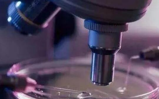 重慶供卵試管 重慶市哪家醫(yī)院可以做供卵試管嬰兒？ ‘營口伊人26周四維看男女準(zhǔn)么’