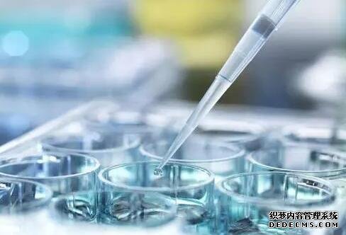 試管嬰兒結婚證別妄想造假,一旦發現你就完蛋了