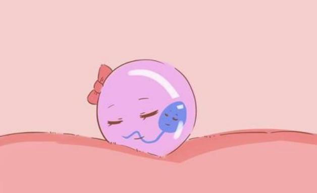 臺州試管報銷 2023臺州不孕不育醫院排名 ‘40ⅹ24mm孕囊是男還是女’