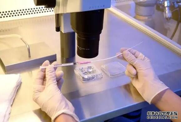 杭州供卵試管資訊 杭州邵逸夫做試管費用明細 ‘用酒精跟跟晨尿驗男女’