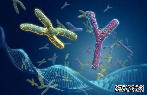 杭州供卵子受孕要多少費用 杭州生育津貼報銷流程是怎樣的？ ‘代孕三個月b超胎兒是躺著的是女孩男孩’