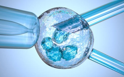 廣東試管中介 廣東中山三院可以做三代試管嗎? ‘三維B超數據怎么看男女’