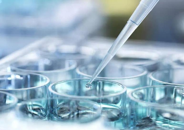 長沙 供卵試管 湖南長沙做試管嬰兒哪個醫院好? ‘懷孕四個月男寶寶b超圖’