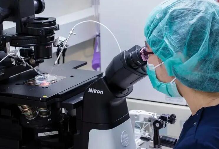上海供卵試管過程 上海同濟醫院生殖醫學中心 ‘做四維時,趴著的都是男孩嗎’