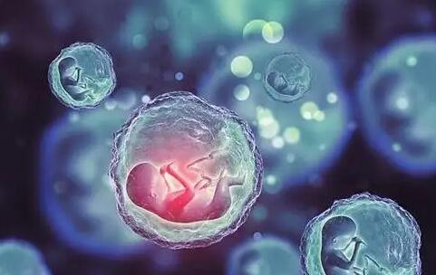 武漢試管第三代 2023年武漢人民醫院試管嬰兒怎么樣？ ‘懷孕B超孕囊大小看男孩女孩’