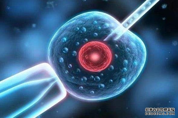 不孕不育夫妻是選擇留在國內做試管嬰兒還是去泰國?