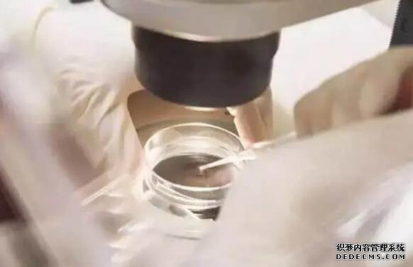 溫州可信度好供卵機構 2022溫州醫科大學附屬第一醫院能做供精試管嬰兒嗎?附浙江供精試管醫院排名 ‘孕囊小HCG慢是不是男孩’