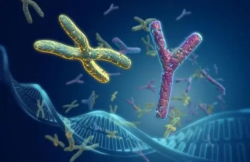 臺灣 試管 供卵 022臺灣凍卵5年的費用是多少?附臺灣凍卵流程表一覽 ‘酒精測試一團一團的是女寶嗎’