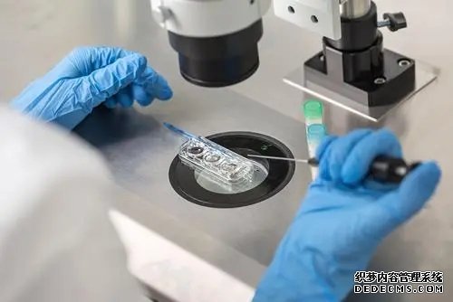 溫州買卵 溫州附二醫試管好不好? ‘如何從b超結果判斷男女’