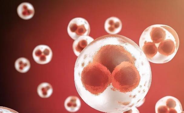 2022年做試管嬰兒費(fèi)用可以走醫(yī)保嗎