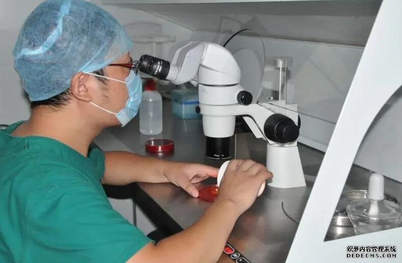 江蘇代孕2019 江蘇省供精試管流程: ‘nt2.0心率163男孩女孩’