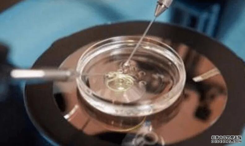 福州正規助孕 福州總院三代試管流程及費用標準參考 ‘6*6*4孕囊怎么看男女?’