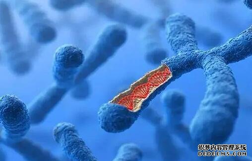 正常女性在這個年齡段內才會閉經，太早太晚都不正常