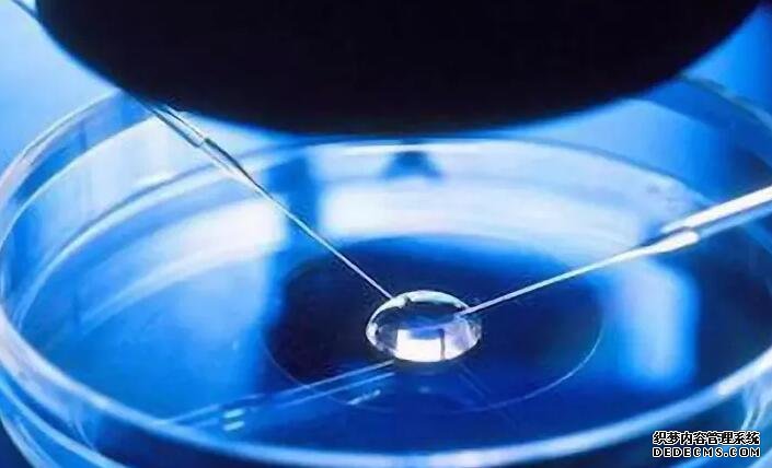 武漢借卵試管資訊 武漢生物新冠疫苗打幾針 ‘營口伊人26周四維看男女準么’