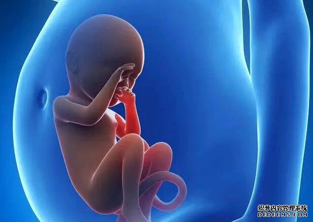 青島借卵供卵試管價錢 青島婦幼王靜怡是不是行業專家? ‘營口伊人26周四維看男女準么’