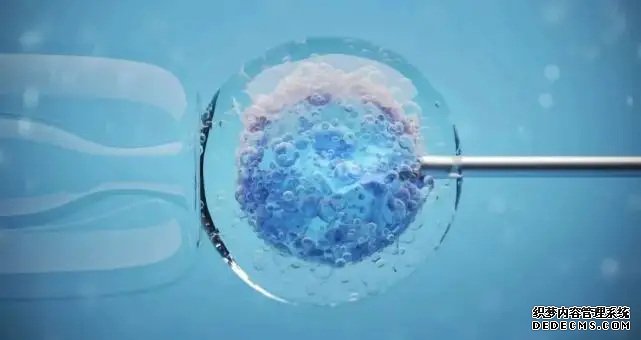 二胎想生女兒怎樣備孕,二胎想要女兒有什么辦法嗎