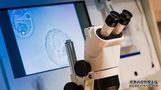 斷奶后漲奶的解決辦法一覽,做好這四點(diǎn)可緩解痛苦