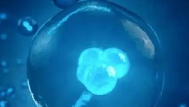 濟南試管嬰兒醫院排行有哪些?哪家醫院比較不錯?