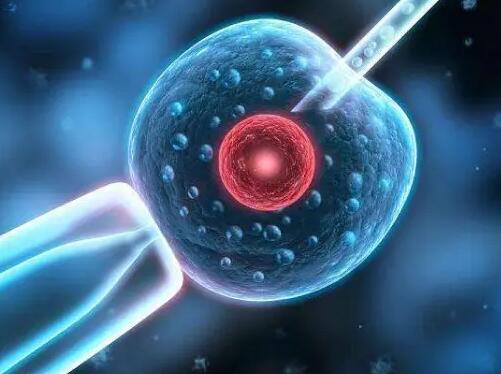 無錫借卵試管過程 火速更新無錫做供卵試管醫院排名 ‘b超如何測男女’