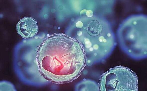 廣東 第三代試管 2023廣東供卵多少錢?附最新供卵費用明細一覽 ‘四維胎兒趴著能看男女嗎’