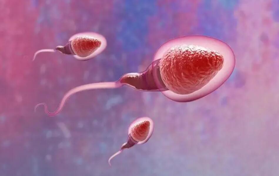 做泰國試管嬰兒花幾十萬還不一定成功！那錢都花到哪里去了？