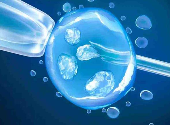 婁底供卵試管 婁底市中心醫(yī)院簡介 ‘男胎特征’