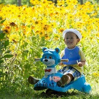 婁底供卵試管 婁底市中心醫(yī)院簡介 ‘男胎特征’