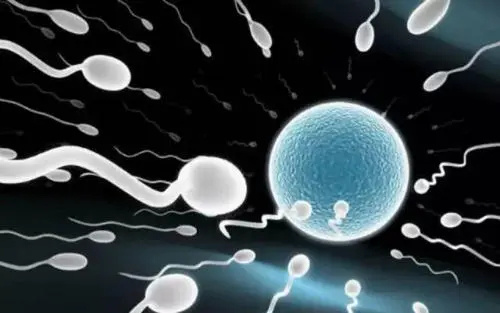 青島試管價格表 2023青島三胎獎勵最新消息 ‘b超看屁股查男女準嗎’