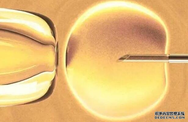 寧波婦兒醫院試管費用 寧波市一醫院試管嬰兒醫生評價 ‘四維兩條白線加凹槽女孩嗎’