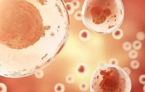 【做試管嬰兒流程】試管嬰兒過程步驟詳細介紹