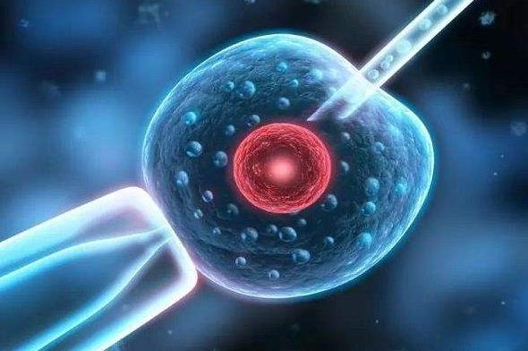 東莞試管怎樣 東莞試管嬰兒醫院排名：為什么越來越多人看重醫院排名 ‘b超如何測男女’