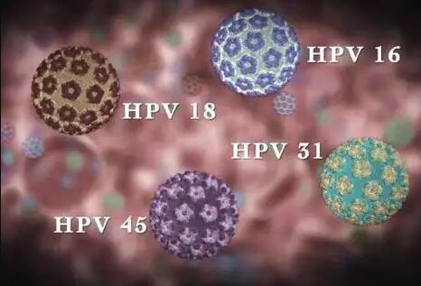 東莞試管醫院 2023東莞試管嬰兒醫院排名 ‘nt男女腿部間的區別圖’