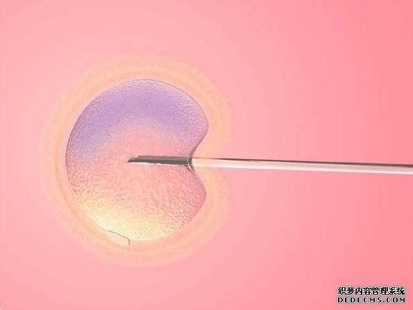 月子期間要飲食清淡,科學堅持才有助于身體恢復