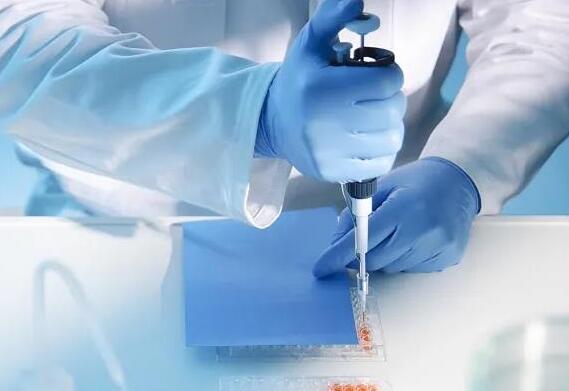 廣州 第三代試管 廣州生育津貼政策有哪些? ‘b超如何測男女’