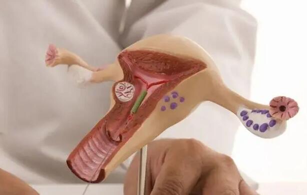 長春零風(fēng)險包生男孩 022年長春試管嬰兒助孕生男孩的醫(yī)院名單，4家試管醫(yī)院僅一家可行！ ‘男胎和女胎雙頂徑區(qū)別’