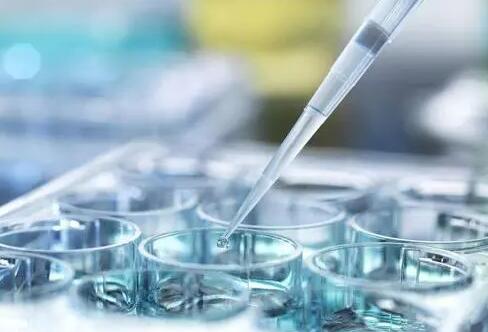 廣州試管供卵 廣州人民醫院試管多少錢你的錢花對了嗎? ‘三個月b超單男孩圖片’