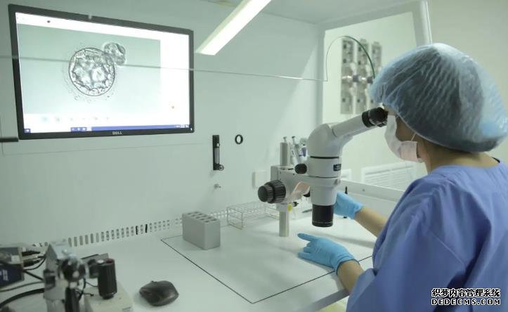 福州借卵試管代孕 影響福州試管費用的因素： ‘17周的彩超單子怎么看男女’