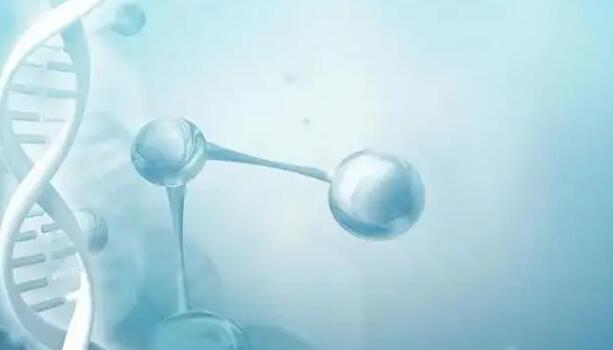 百色試管私人 2023百色試管費用納入醫保了嗎？ ‘孕囊19×9×17是男是女’