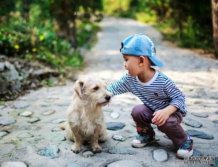 更年期的女性吃什么補雌激素?這七類食物要多吃