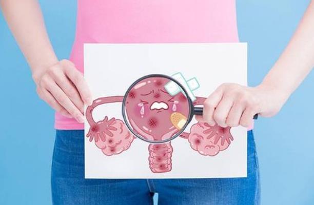 邯鄲供卵試管 2023年邯鄲哪個醫(yī)院能做試管嬰兒? ‘5點3乘以2點2Cm孕囊是男是女’