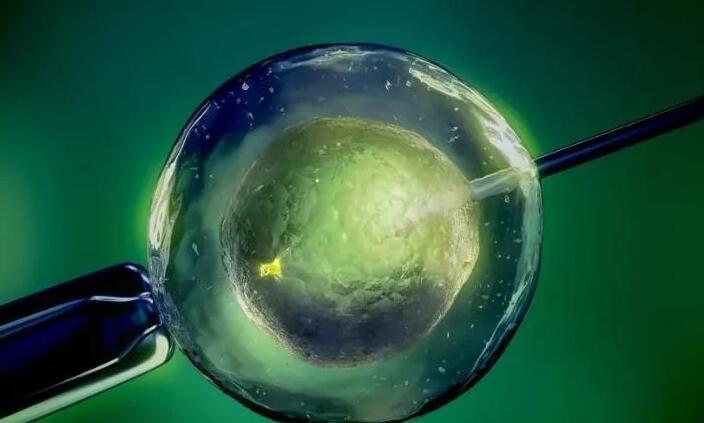 西寧試管供卵 2023西寧私立供卵機構(gòu)排名全新發(fā)布 ‘懷男寶寶早期有什么特征最準(zhǔn)’