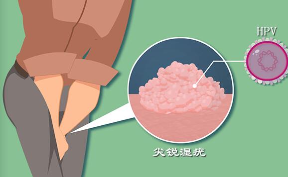 備孕之路—試管經歷分享1