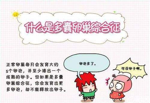 廣東 第三代試管 廣東哪家醫(yī)院做試管嬰兒成功率高 ‘孕囊68*68*32是男是女’