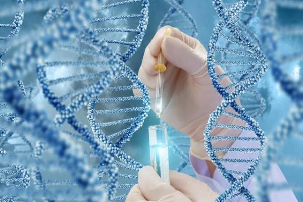 北京試管費用可以醫(yī)保報銷 北京精子庫醫(yī)院可以做供精試管嬰兒嗎 ‘6個月b超數(shù)據(jù)怎么看男女孩’