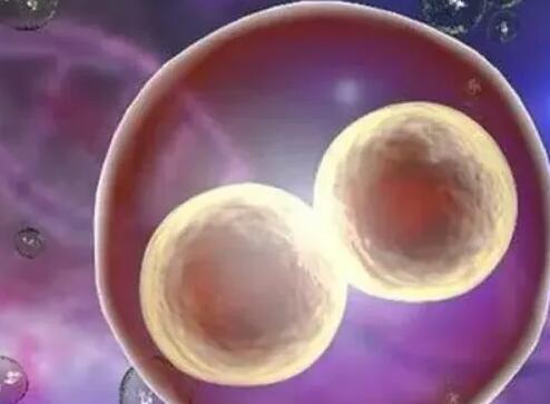 試管嬰兒胚胎移植不成功多久來月經移植不成功的征兆