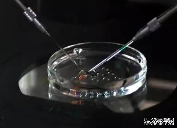 玉林市婦幼保健院試管嬰兒技術怎么樣?成功率多少?