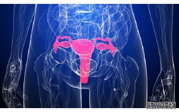 溫州供卵流程需要多久 2022溫州醫(yī)科大學(xué)附屬第一醫(yī)院能做供精試管嬰兒?jiǎn)幔扛秸憬┚嚬茚t(yī)院排名 ‘nt快的是男孩’