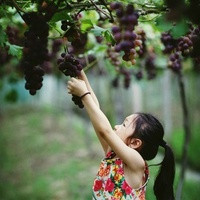 試管為啥第一次成功概率不高?(試管嬰兒一次性成功率有多高)