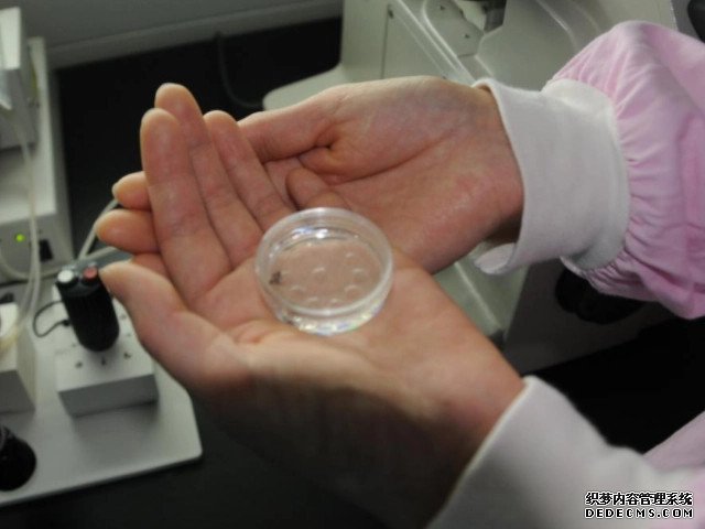 男人調(diào)理精子生男孩百分之百合理!3大竅門幫助你美夢成真